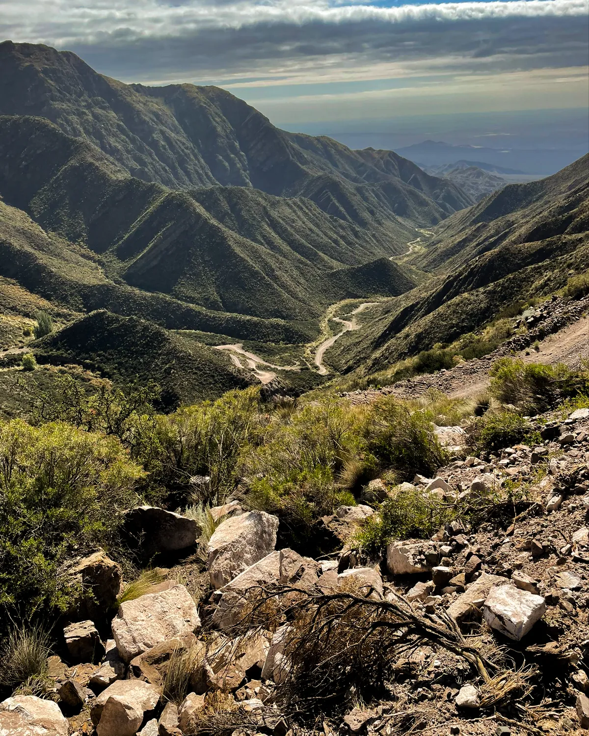 Vista desde el vehículo