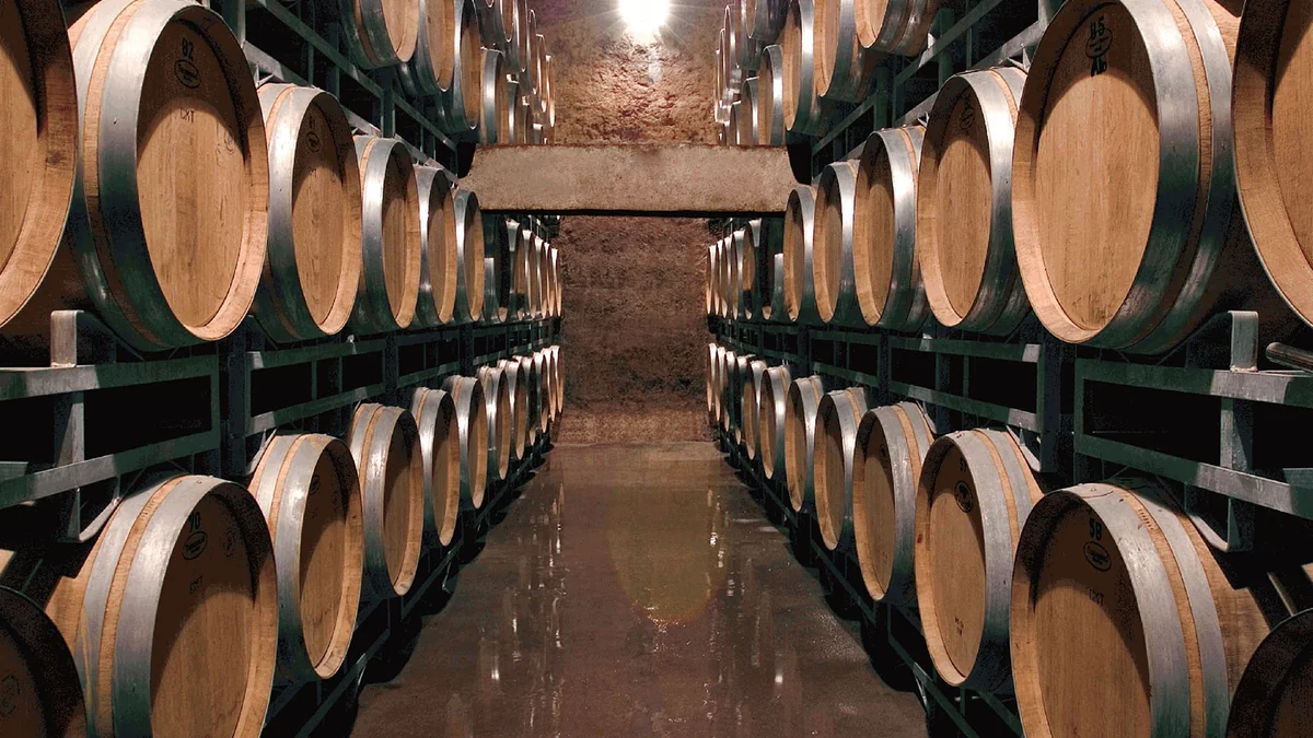 Recorrido por bodega RJ Viñedos
