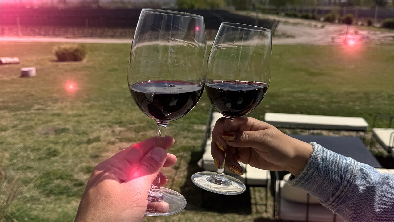 Tour de bodegas Mendoza