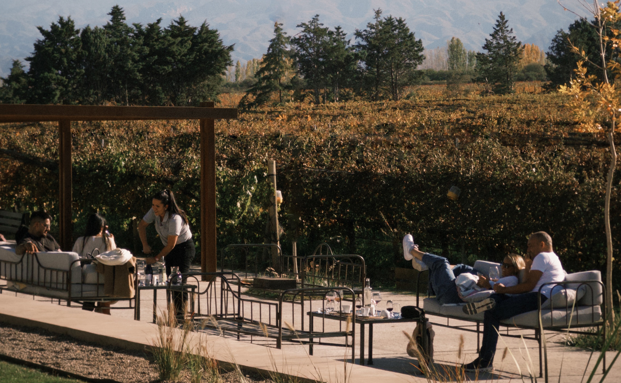 Best of Mendoza Wine Tourism Awards 2026 bodegas premiadas