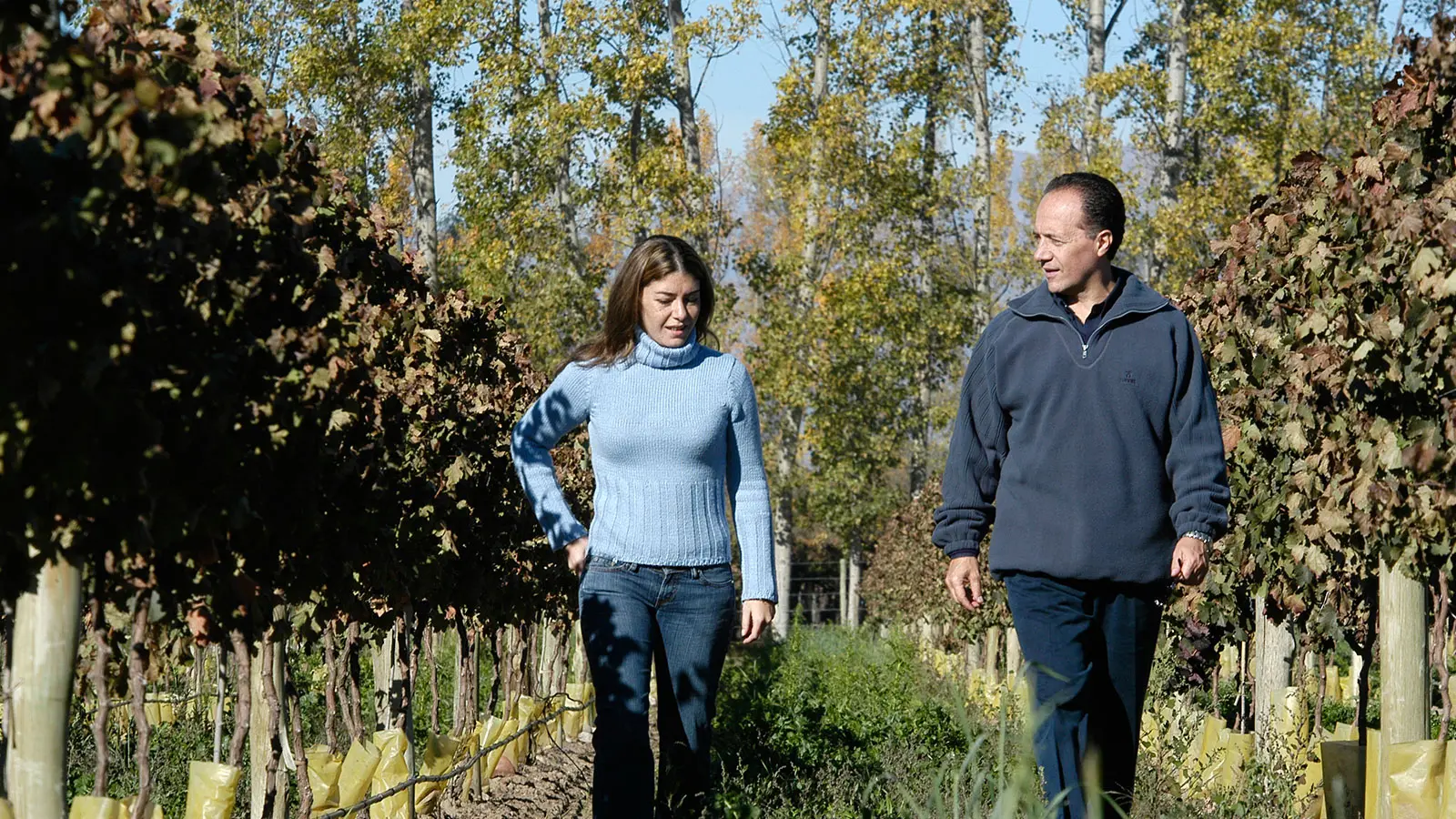 Reunión con enólogo Mendoza degustación privada
