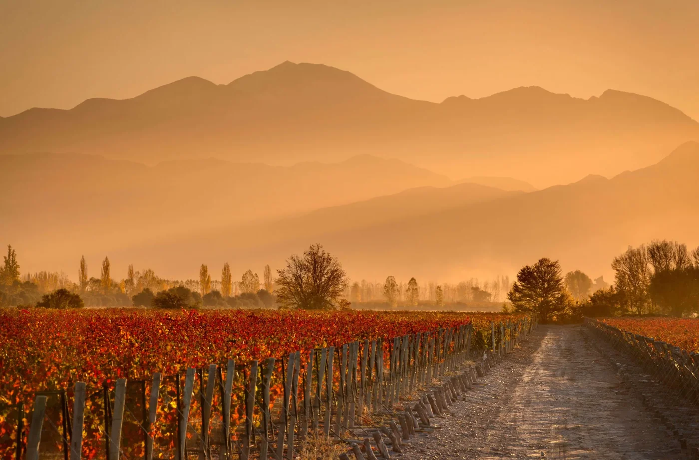 Ruta del Vino en Mendoza