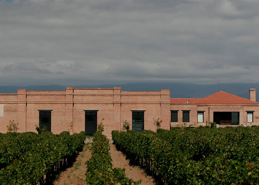 Andeluna — Tupungato, Valle de Uco