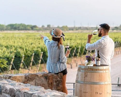Degustación en bodega