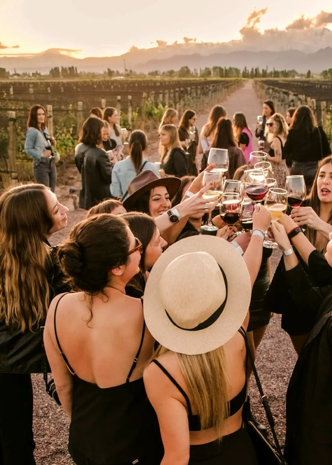 Despedida soltero soltera Mendoza bodegas privadas