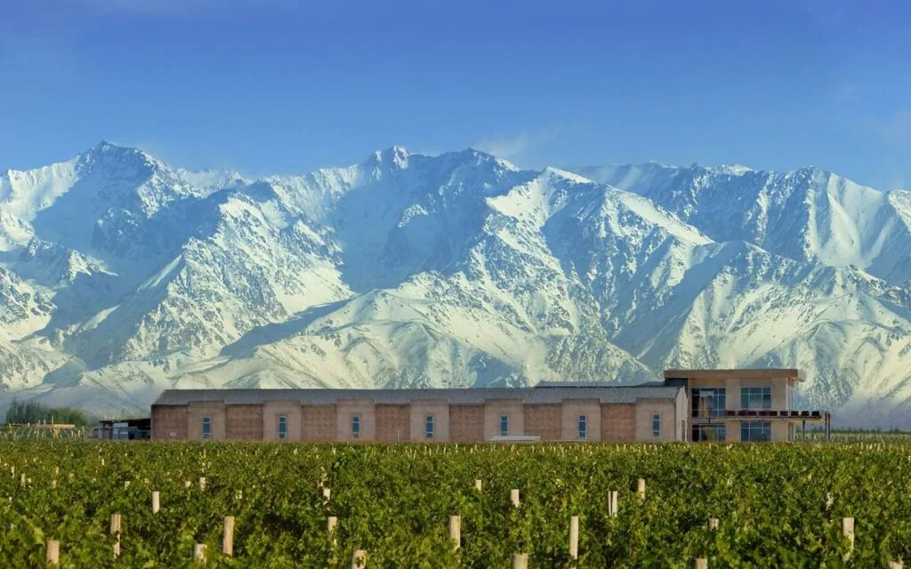 Domaine Bousquet organic vineyards Gualtallary Mendoza